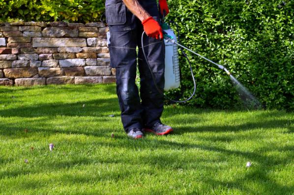 Source Pest Control Mosquito Service