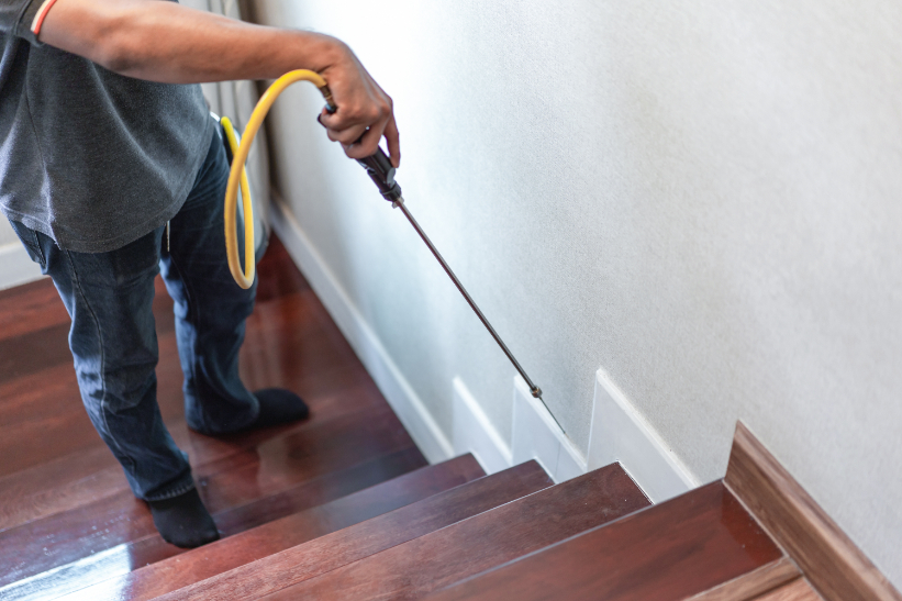 pestcontrolinhome image