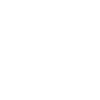 spider image Spider icon